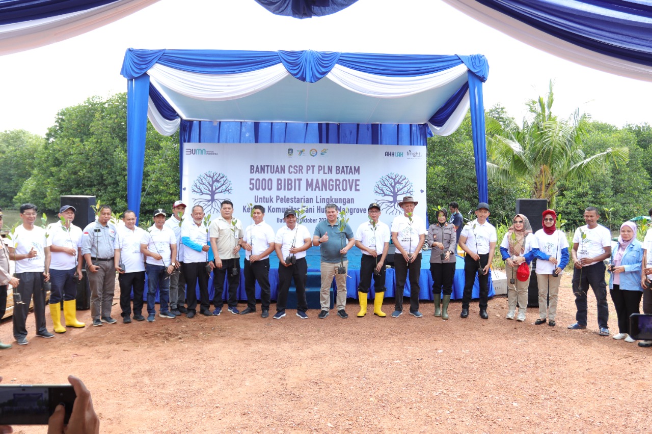 Program TJSL PLN Batam Tanam 5.000 Bibit Mangrove di Hutan Mangrove Tanjung Piayu