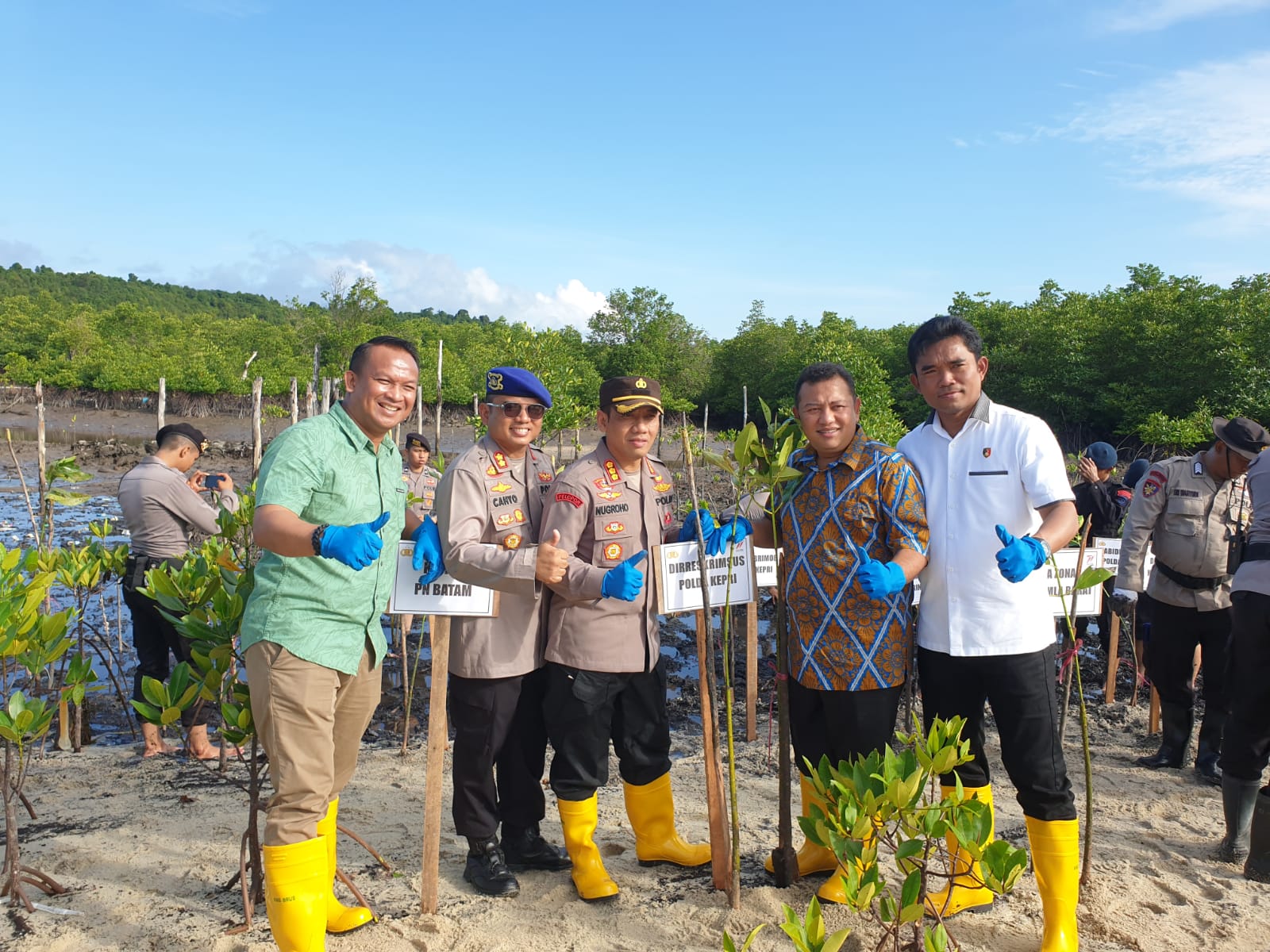 Kapolresta Barelang Mengikuti Penanaman 5000 Pohon Mangrove Se-Polda Kepri