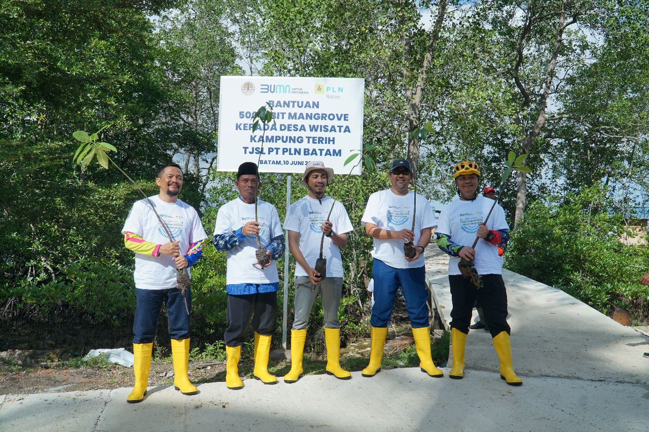 Dalam Rangka Hari Lingkungan Hidup Sedunia PLN Batam Tanam Bibit Mangrove dan Pungut Sampah di Desa Wisata Kampung Terih